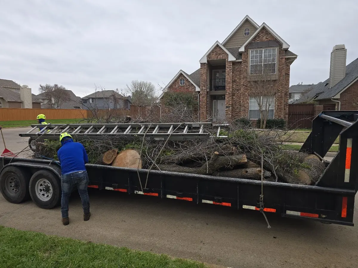 Expert Deadwooding with proper safety equipment in Destrehan